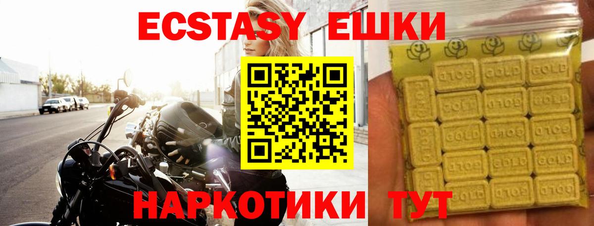 Камень-на-Оби  Экстази louis Vuitton  Вход с VPN  Экстази  Экстази 250 мг 