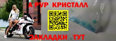 apvp Аша