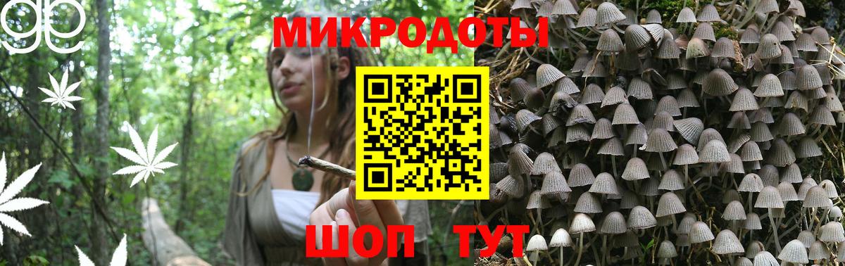 Псилоцибиновые грибы Psilocybine cubensis  Галлюциногенные грибы Psilocybine cubensis  Вход с VPN  купить закладку  Камень-на-Оби 